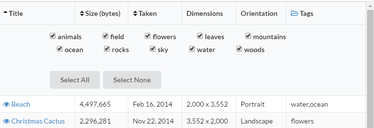 Image Tag Selection Image Tag Selection